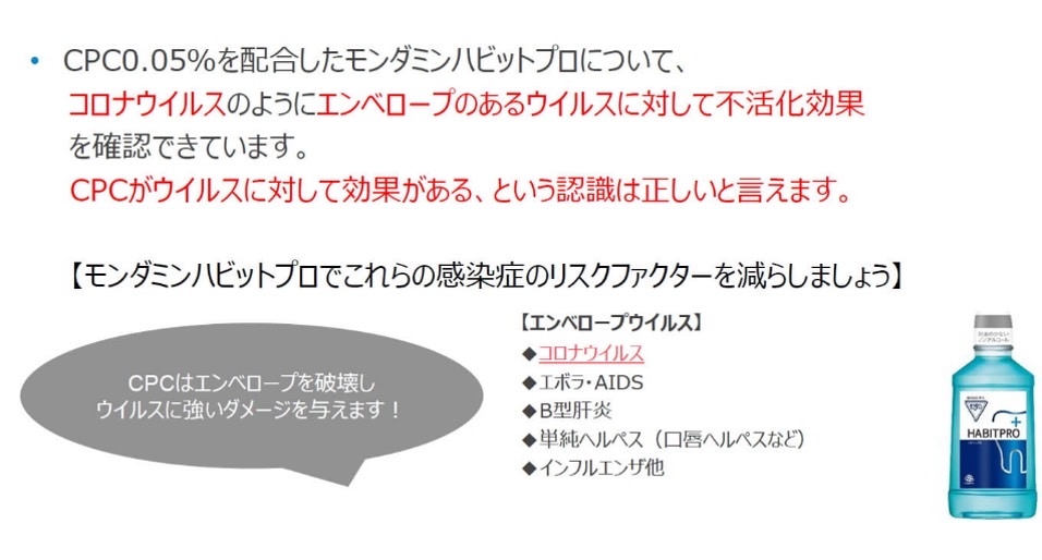 説明