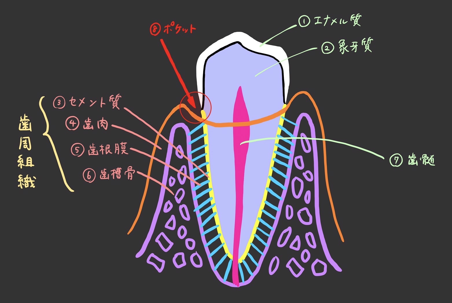 いらすと2